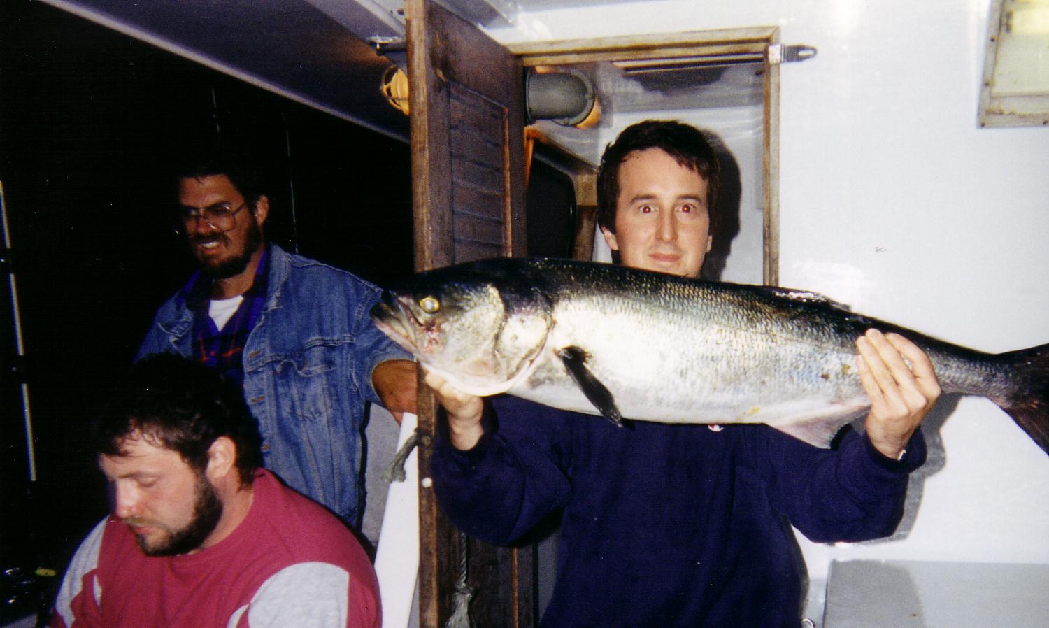 Bluefish