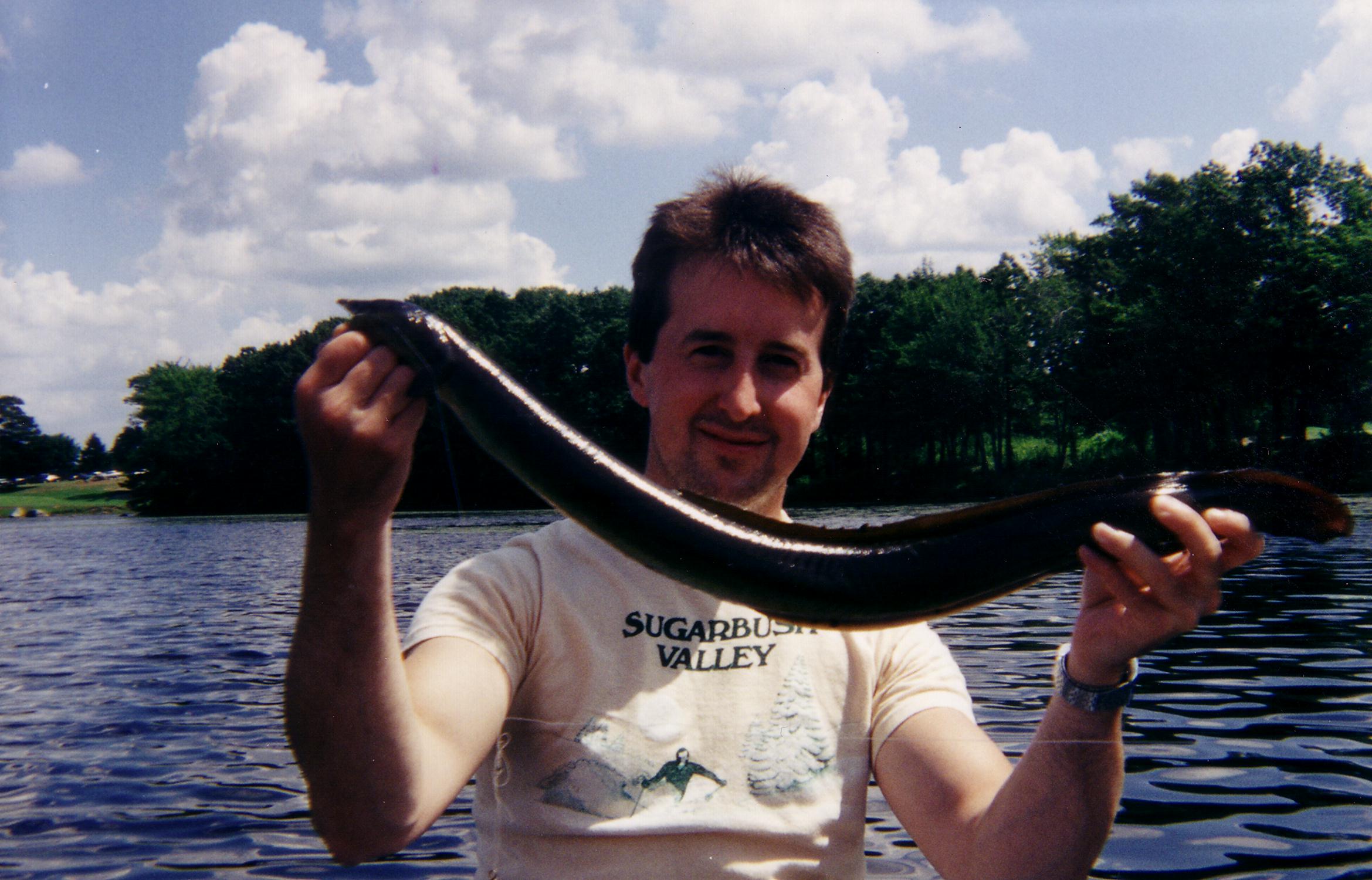 American Eel